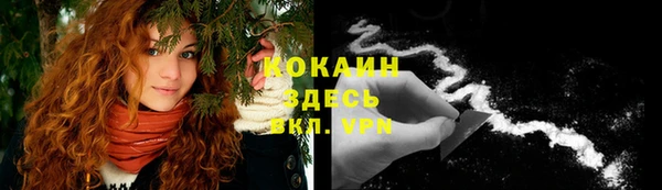 спиды Михайлов