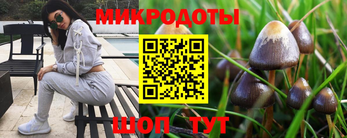 Борзя  купить закладку  Вход с VPN  Псилоцибиновые грибы мицелий 