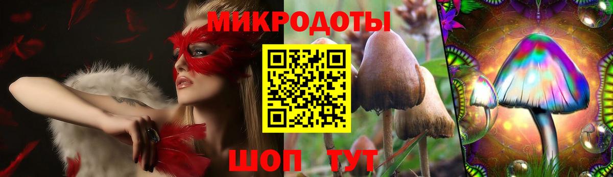 Псилоцибиновые грибы Psilocybine cubensis Борзя